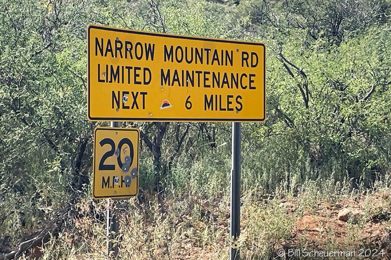 Arizona Road Trip and Wildlife