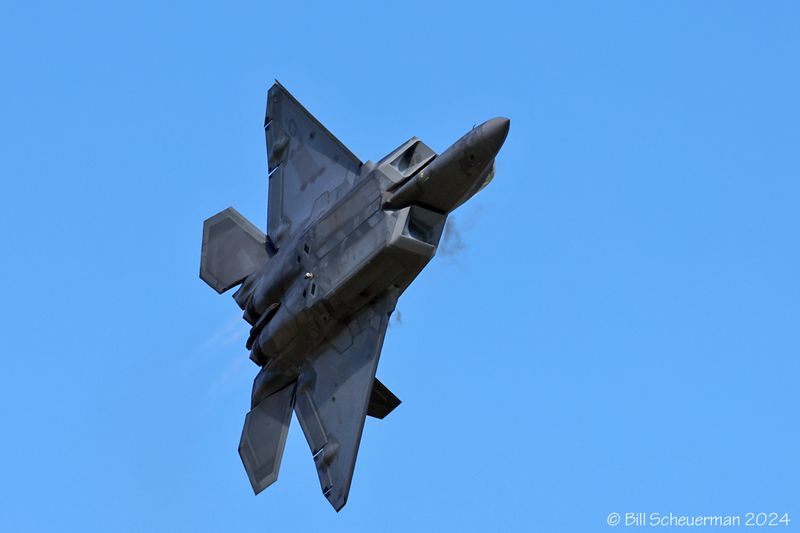 1IMG_7663 copy.jpg