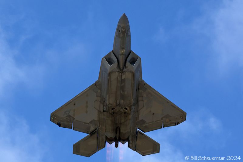 1IMG_7723 copy.jpg