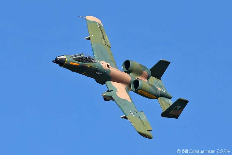1IMG_8629 copy.jpg