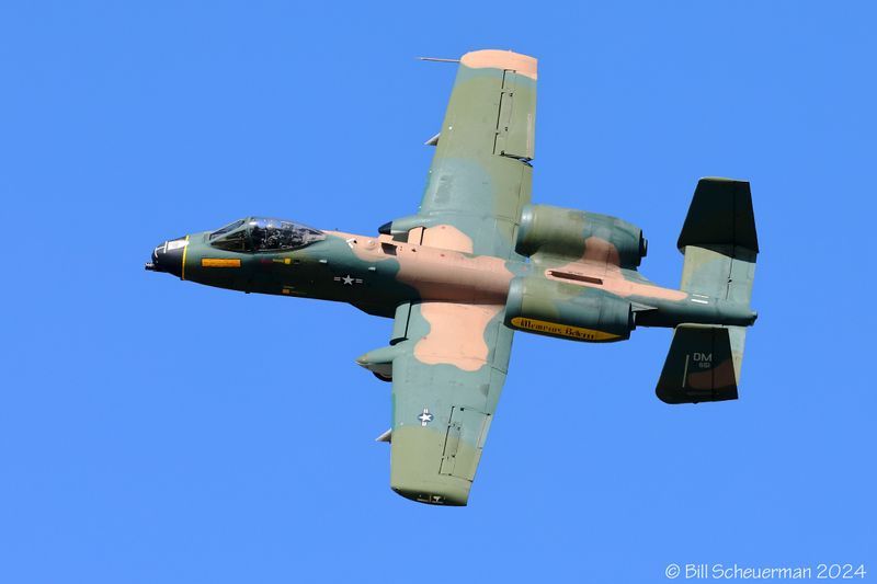 1IMG_8721 copy.jpg
