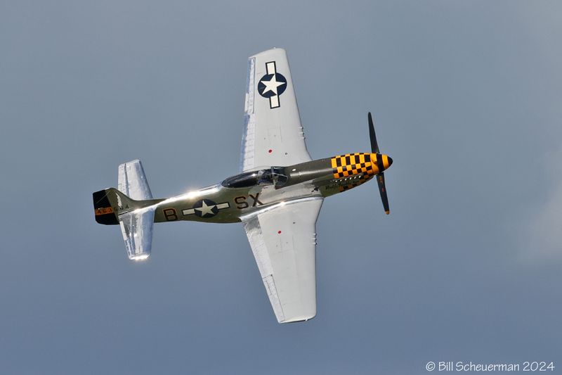 1IMG_9111 copy.jpg