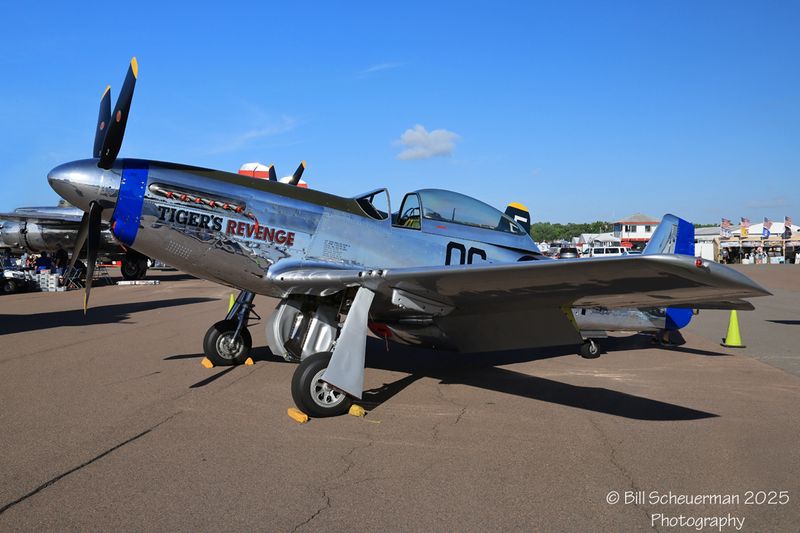 P-51 Tigers Revenge
