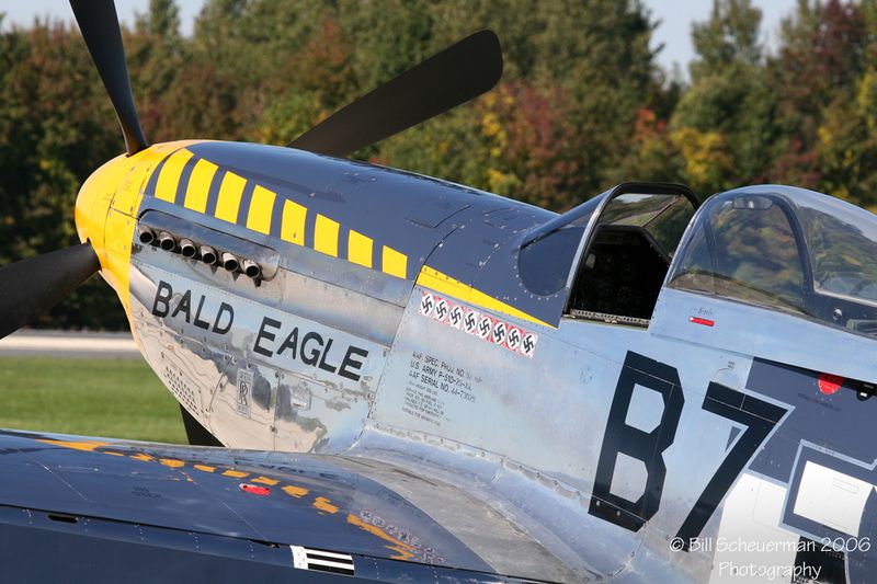 P-51 Bald Eagle