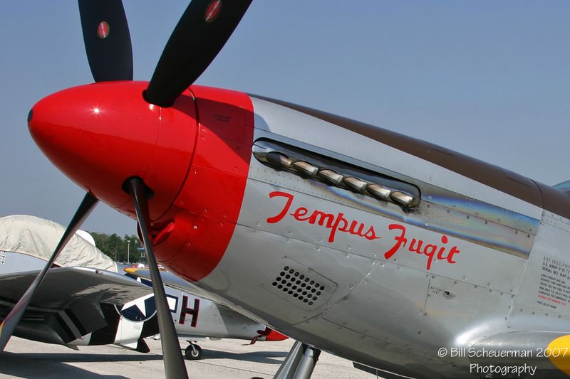 P-51 Tempus Fugit
