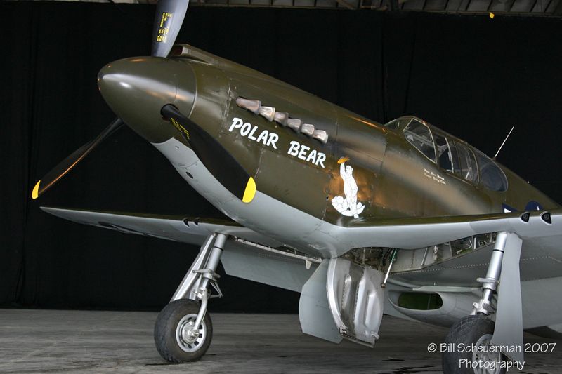P-51 Polar Bear