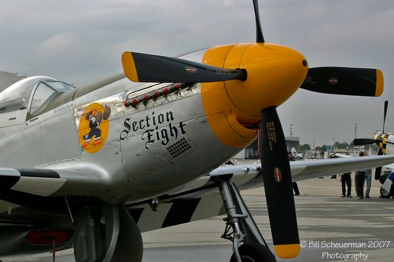 P-51 Section Eight