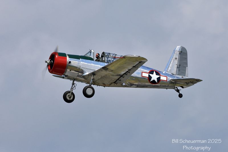1IMG_2727 copy.jpg