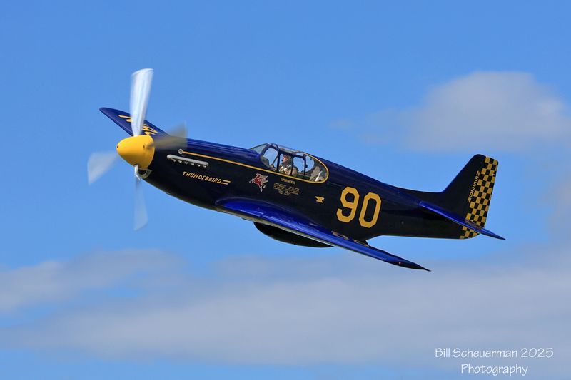 1IMG_3380 copy.jpg