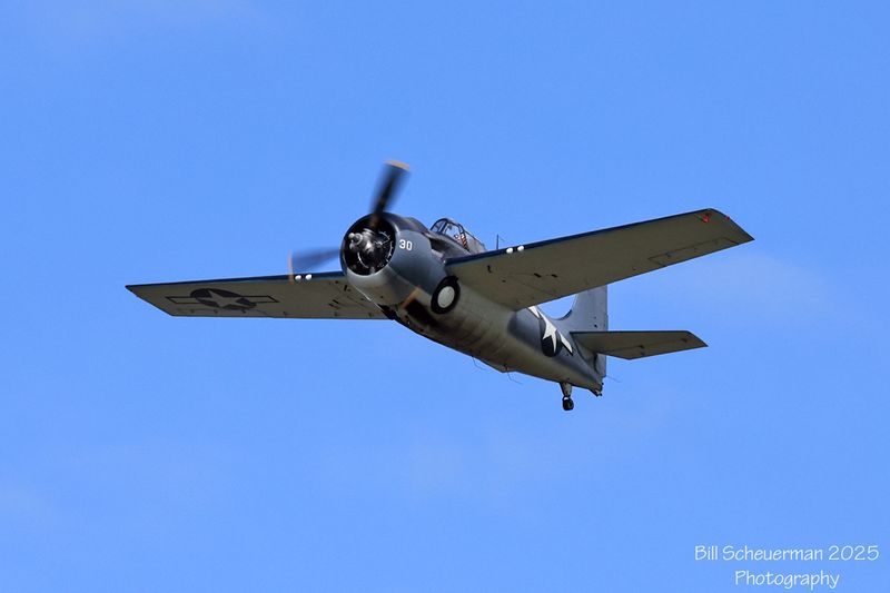 1IMG_2790 copy.jpg
