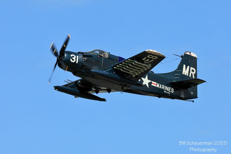 1IMG_2874 copy.jpg