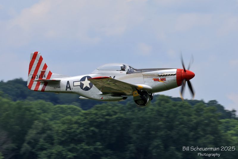 1IMG_6542 copy.jpg
