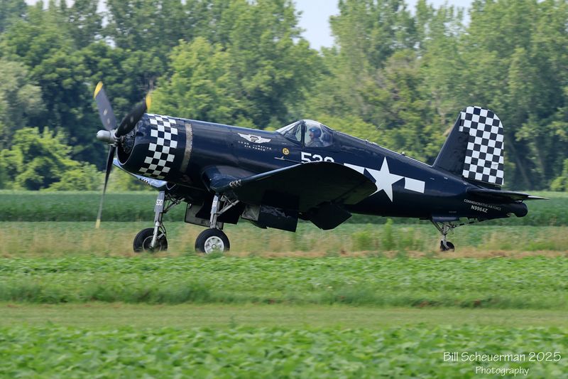 1IMG_6944 copy.jpg