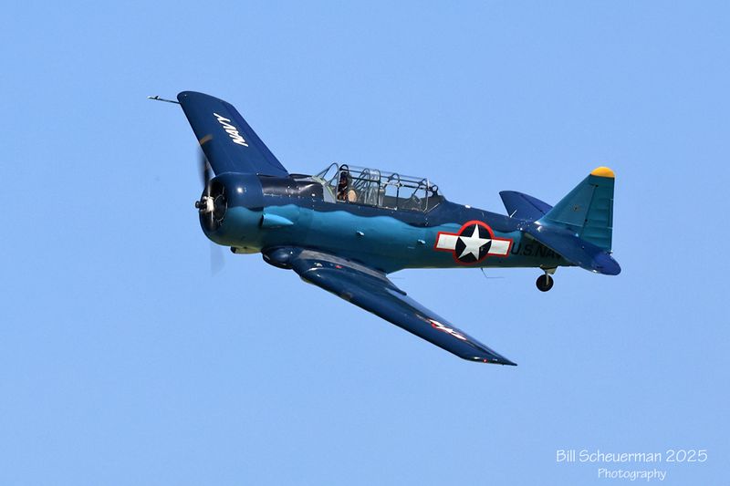 1IMG_7182 copy.jpg