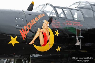 Nose Art