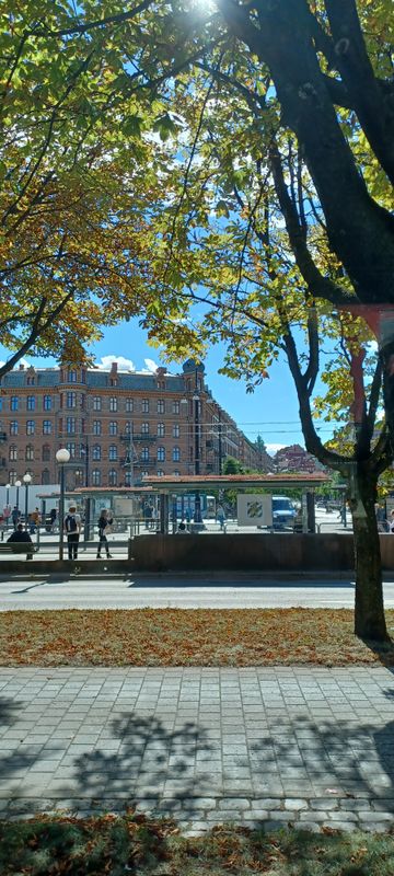 Järntorget (Iron Square) traditional home of the city's labour movement