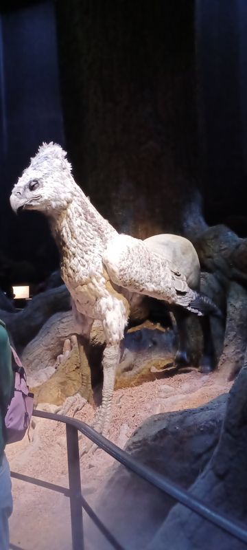 g13/16/175416/2/173291400.9186972d.JPEG