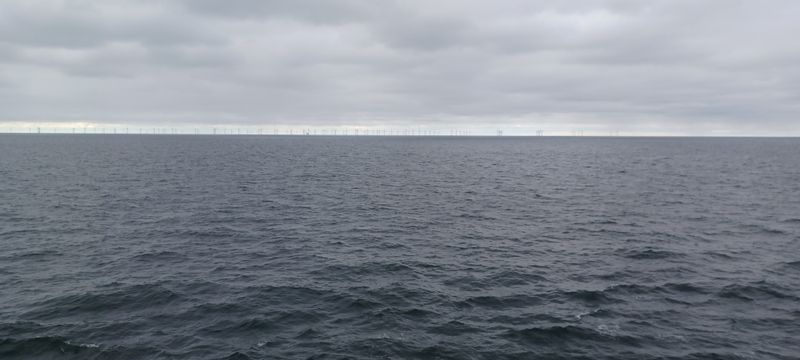 20220829_171714.jpg