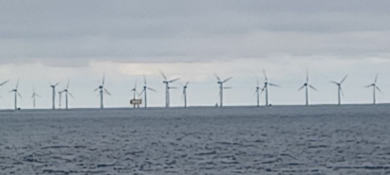 20220829_171956.jpg