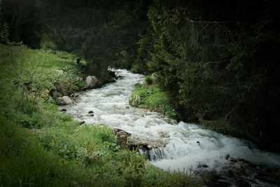 Photo du jour 2023 - 2025