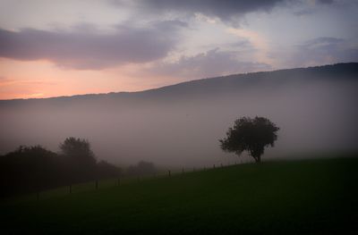 Photo du jour 2023 - 2025