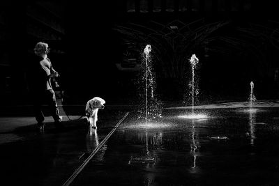 Photo du jour 2023 - 2025