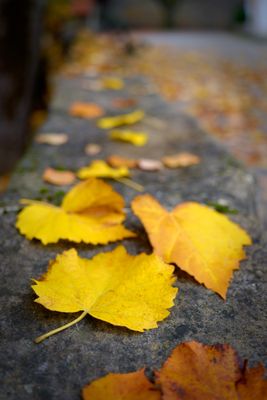 Photo du jour 2023 - 2025