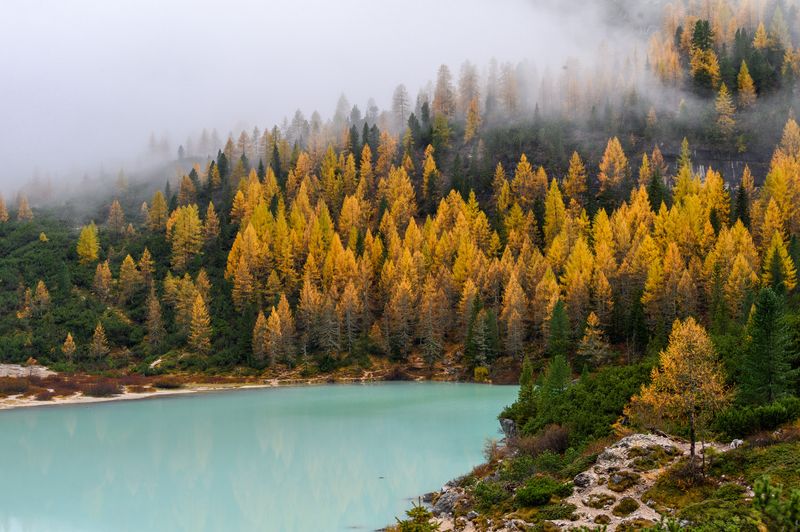 _DSC2671-HDR_vignettes.jpg