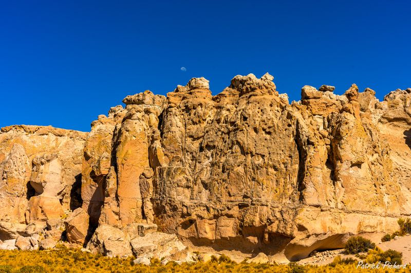 _DSC2788_vignettes.jpg