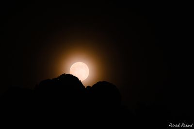_DSC2527_vignettes.jpg