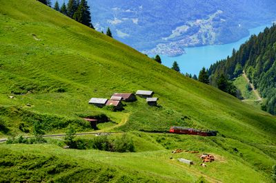 _DSC0352_01.JPG