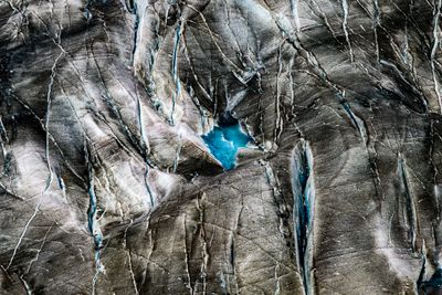 _DSC0460_01.JPG
