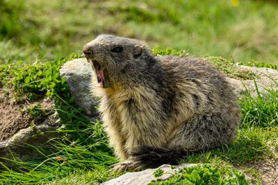 _DSC0632_01.JPG