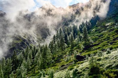 _DSC0713-HDR_01.JPG