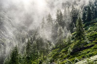 _DSC0719-HDR_01.JPG