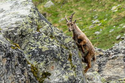 _DSC0839_vignettes-2_01.JPG