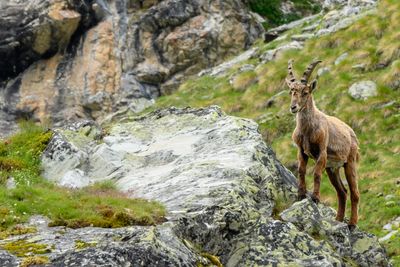_DSC0840_01.JPG