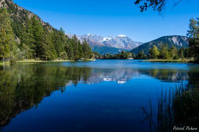 _DSC5025_vignettes.jpg