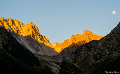 _DSC5045_vignettes.jpg