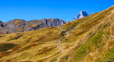 _DSC5063-jpg adobe RVB 90-2_vignettes.jpg