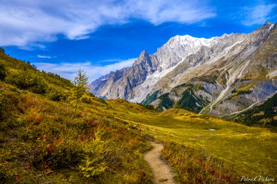 _DSC5233-HDR_vignettes.jpg