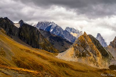_DSC5411_vignettes.jpg