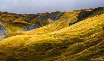 _DSC5464_vignettes.jpg