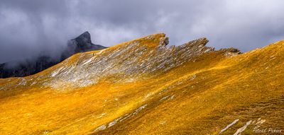 _DSC5476_vignettes.jpg