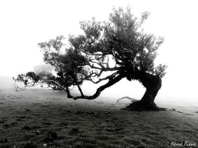 IMG_4572-2_vignettes.jpg