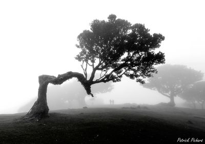IMG_4633-2_vignettes.jpg