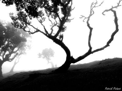 IMG_4638-2_vignettes.jpg