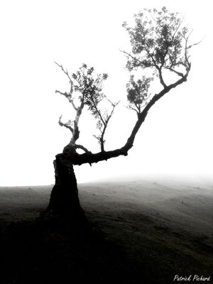 IMG_4643_final_vignettes.jpg