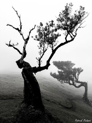 IMG_4647_vignettes.jpg