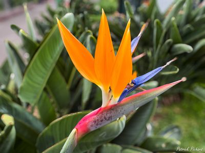 IMG_4294_vignettes.jpg